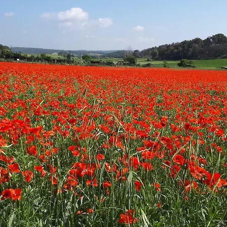 Country house Masia Baix Emporda Monells