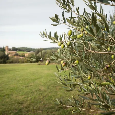 Country house Masia Baix Emporda
